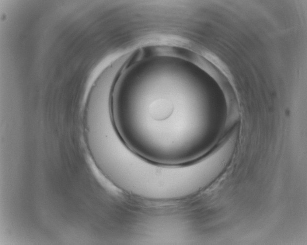 X0000066121152200603171747