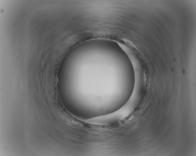 X0000066121153200603171747