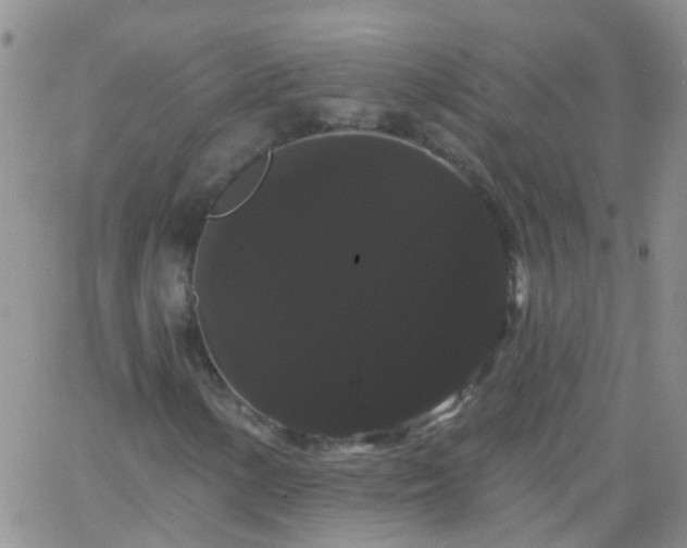 X0000066121154200603171747