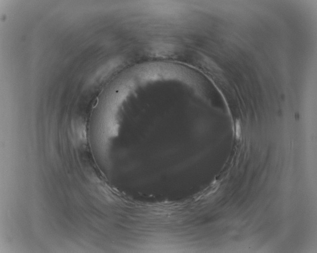 X0000066121155200603171747