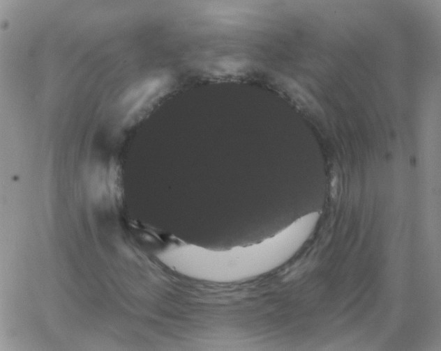 X0000066121156200603171747