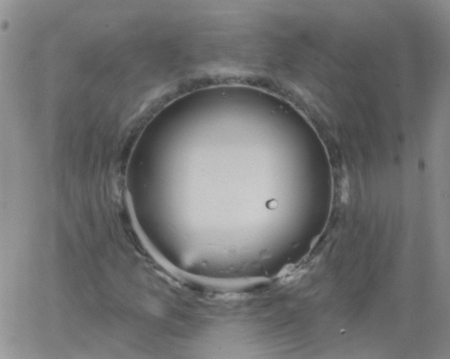 X0000066121157200603171747