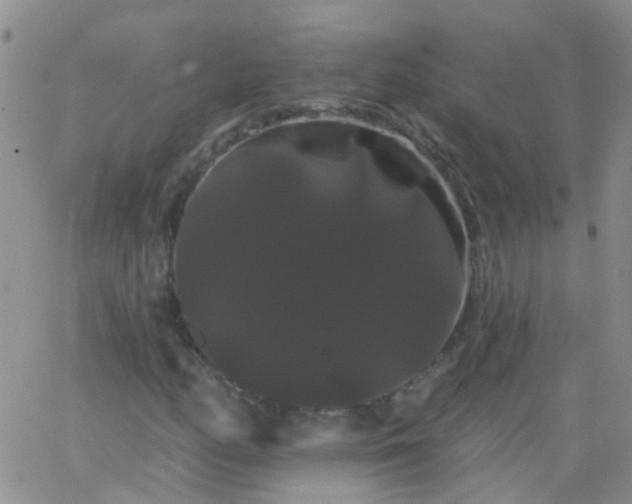 X0000066121158200603171747