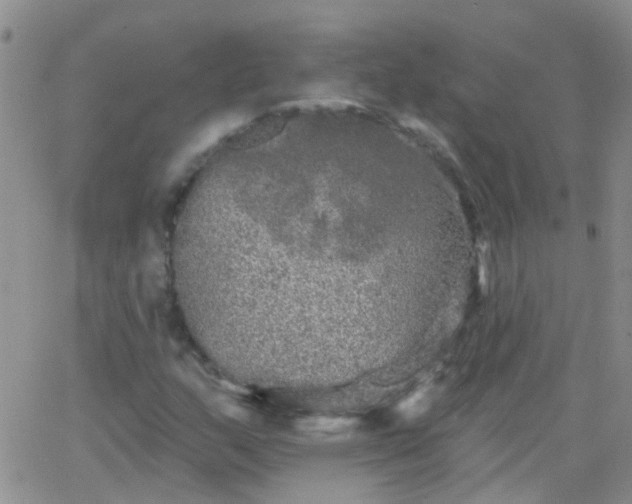 X0000066121159200603171747