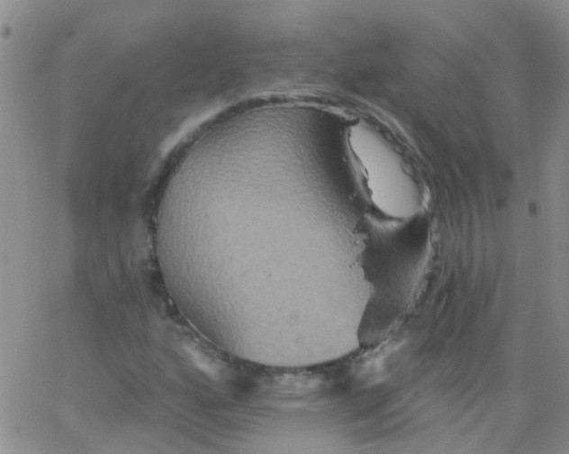 X0000066121160200603171747