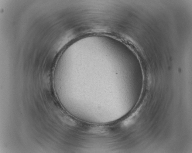 X0000066121162200603171746