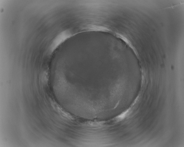 X0000066121163200603171746