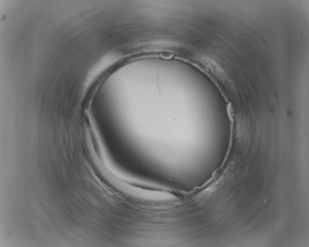 X0000066121164200603171746