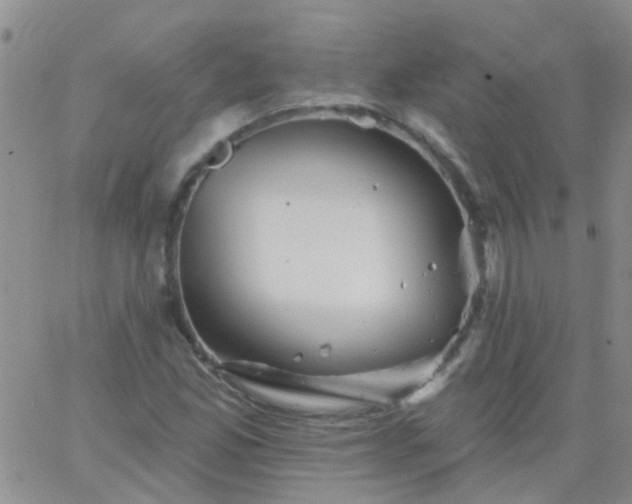 X0000066121165200603171746