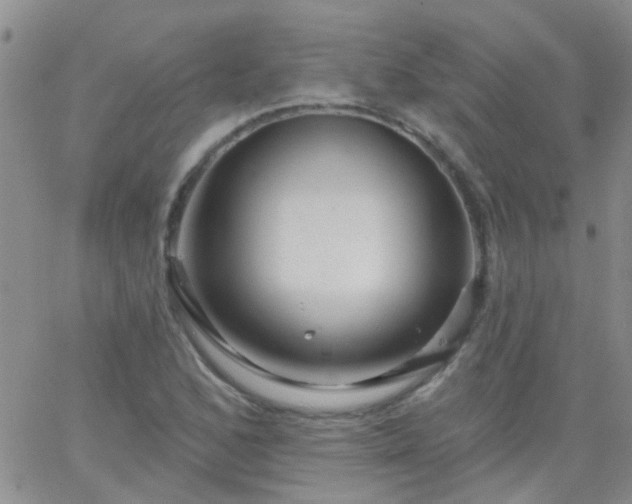 X0000066121168200603171746