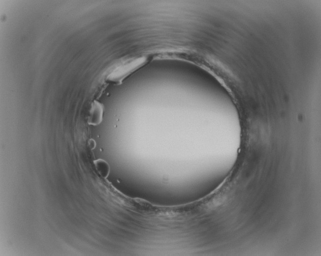 X0000066121169200603171746