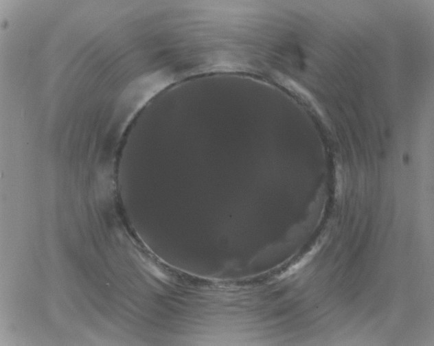 X0000066121170200603171746