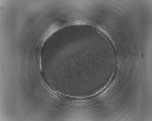 X0000066121171200603171746