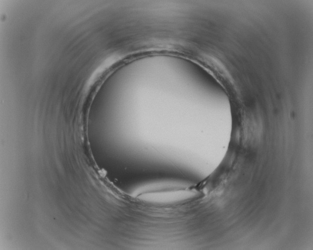 X0000066121172200603171746