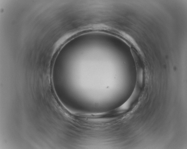 X0000066121176200603171746