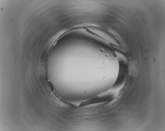 X0000066121177200603171746