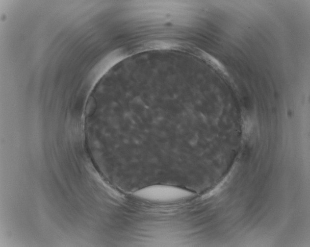 X0000066121178200603171746