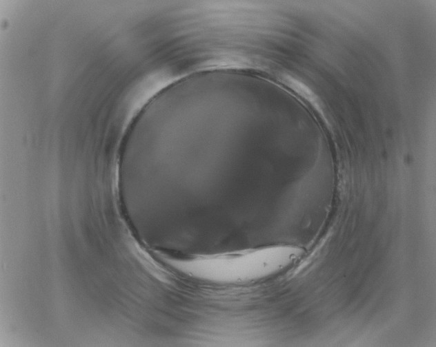 X0000066121179200603171746