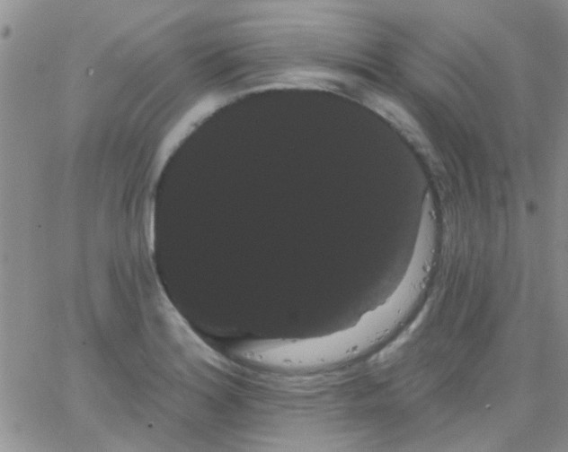 X0000066121180200603171746