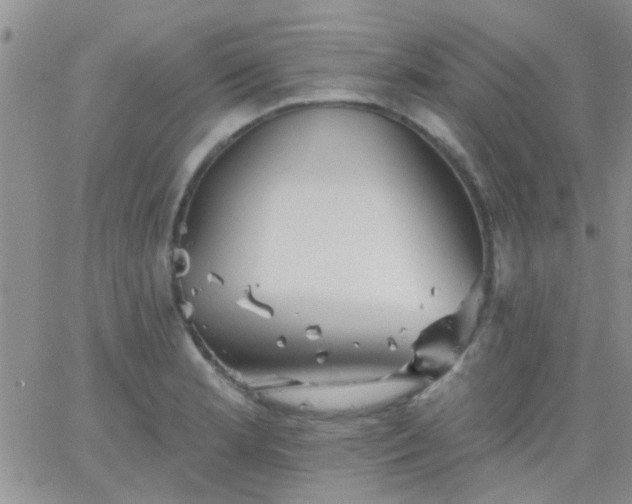 X0000066121181200603171746