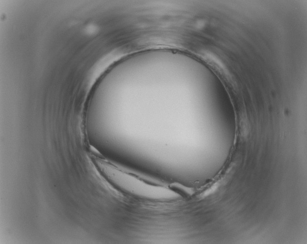 X0000066121182200603171746