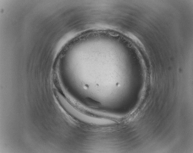 X0000066121183200603171746