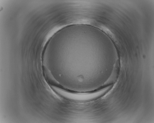 X0000066121184200603171746