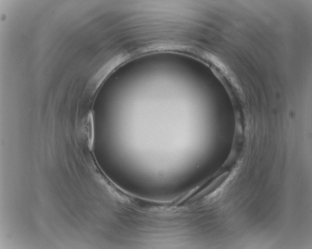 X0000066121185200603171746