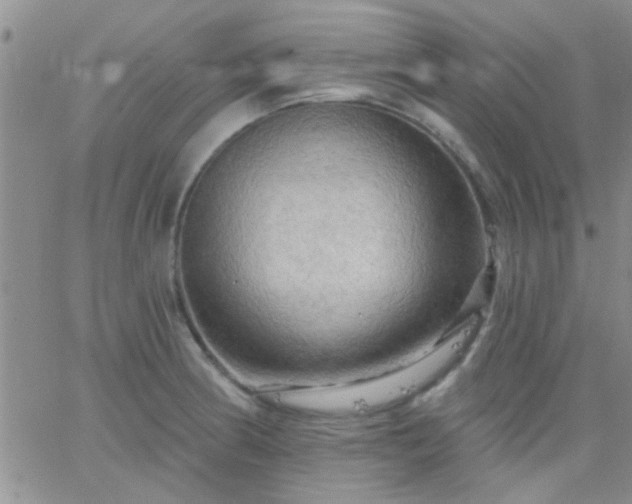 X0000066121186200603171746