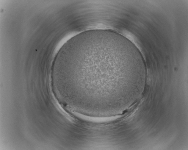 X0000066121187200603171746