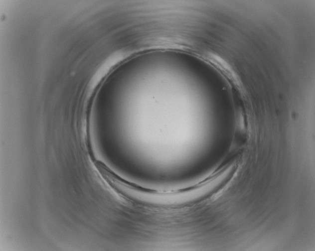 X0000066121188200603171746