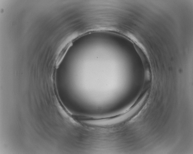 X0000066121189200603171746