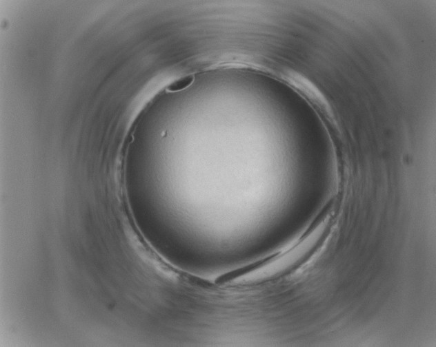 X0000066121190200603171746