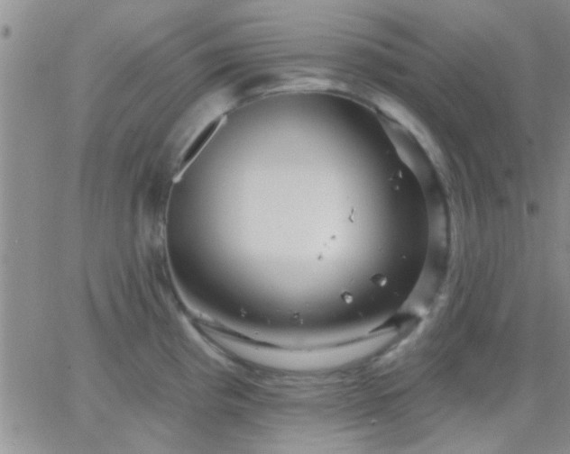 X0000066121193200603171746