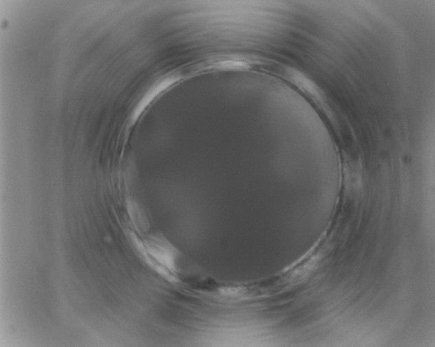 X0000066121194200603171746