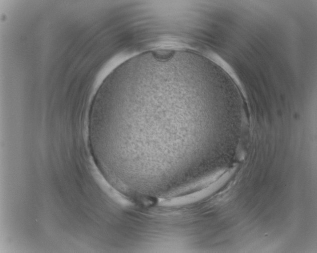 X0000066121195200603171746