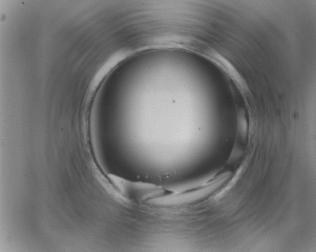 X0000066121196200603171746