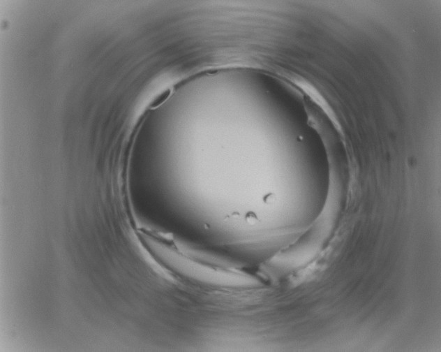 X0000066121197200603171746