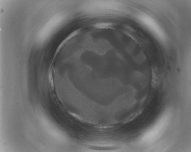 X0000066121198200603171746