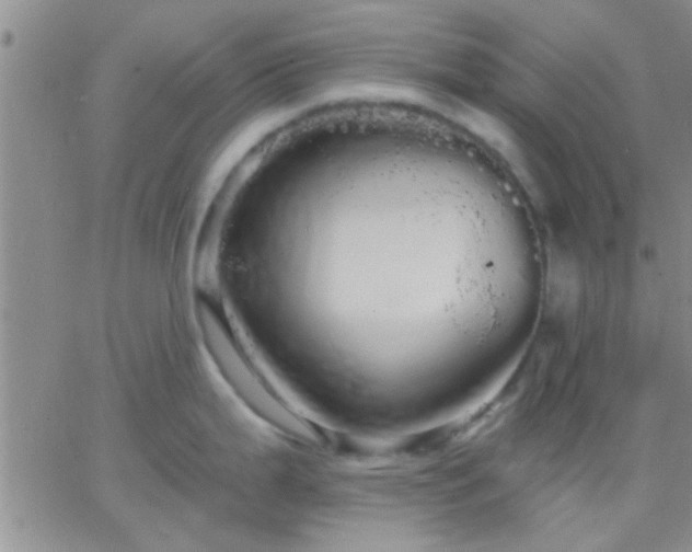 X0000066121199200603171746