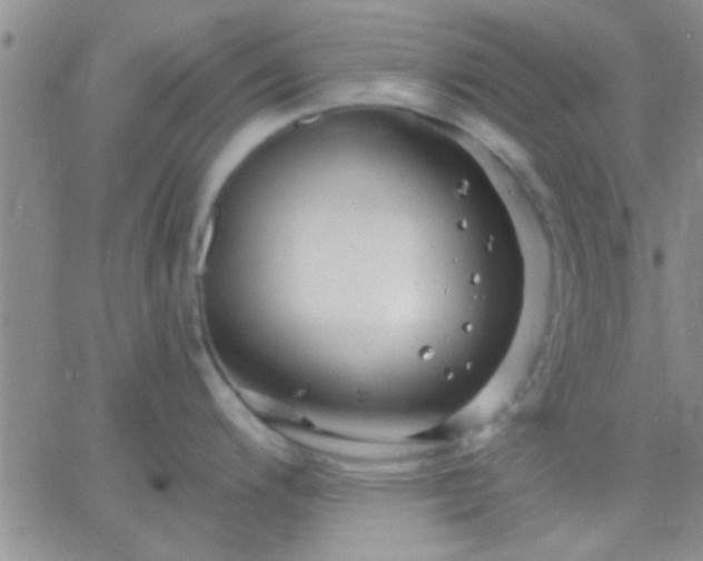 X0000066121200200603171746