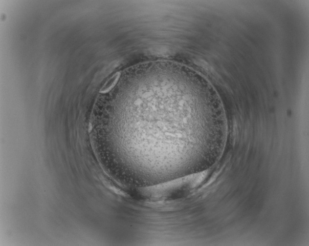 X0000066121201200603171745