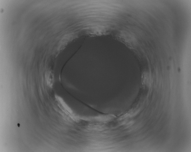 X0000066121202200603171745