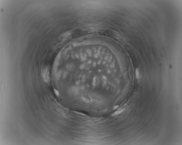 X0000066121203200603171745