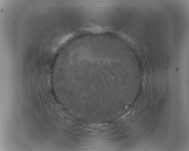 X0000066121205200603171745