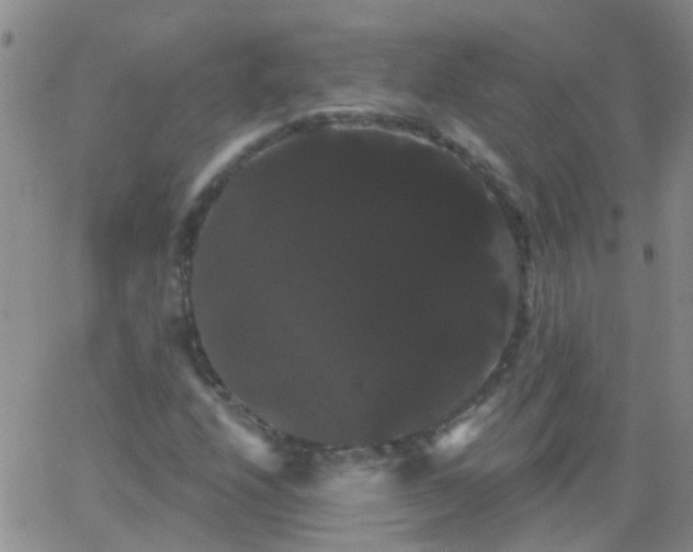 X0000066121208200603171745