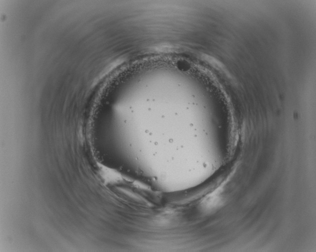 X0000066121209200603171745