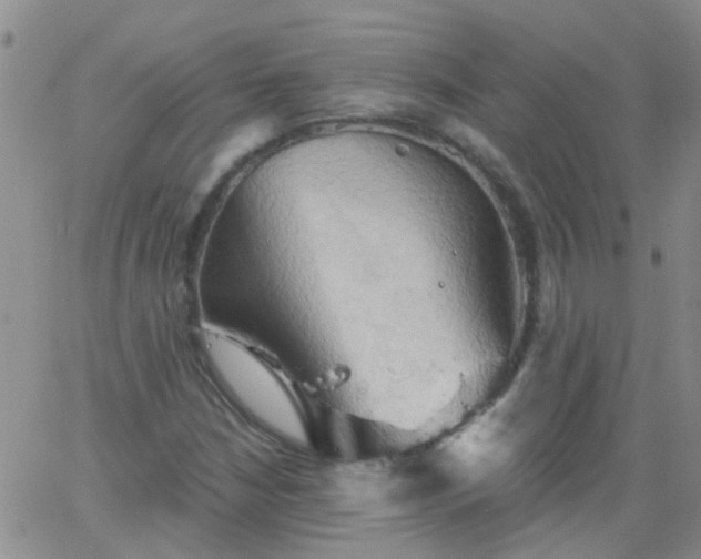 X0000066121210200603171745