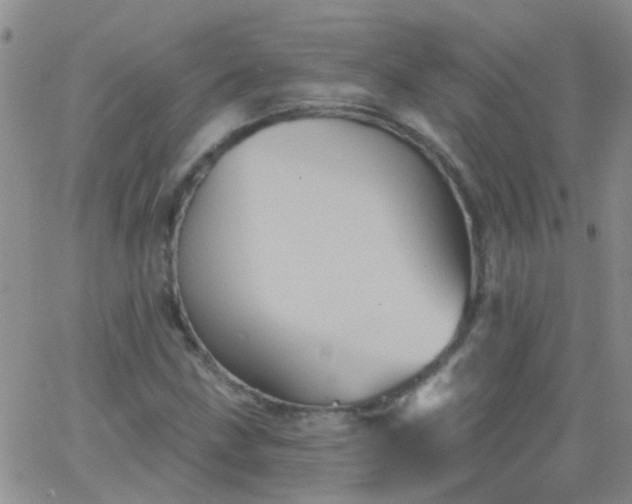 X0000066121211200603171745