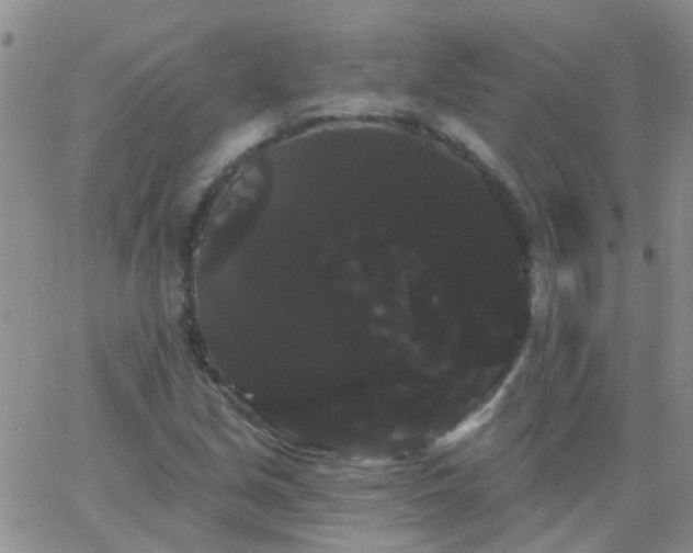 X0000066121213200603171745